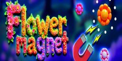 Flower Magnet