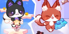 Lovely Cat Pet Life