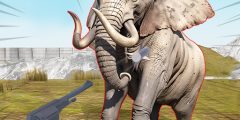 Zoo Anomaly Simulation